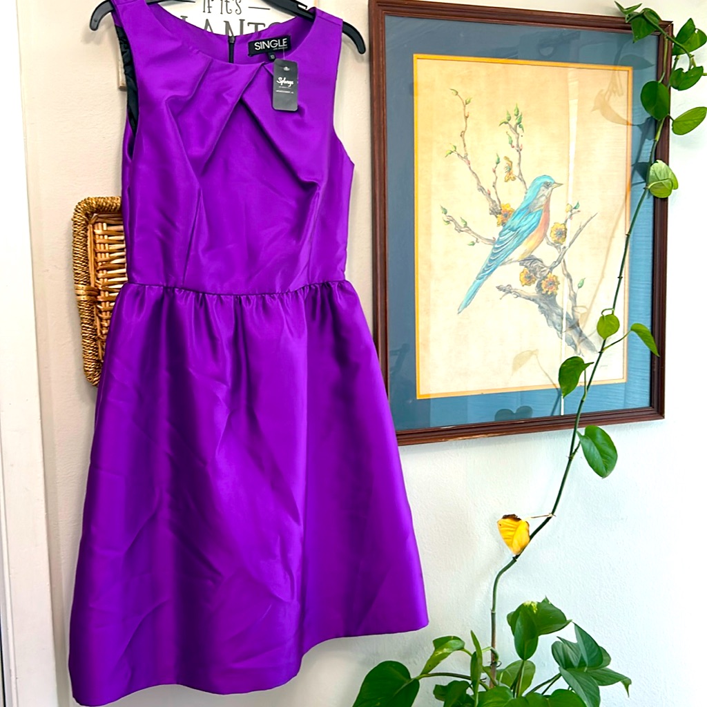 Nwt Single Brand A-Line Fit & Flare Dress